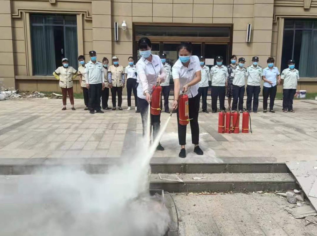 樟樹5.jpg 樟樹5.jpg