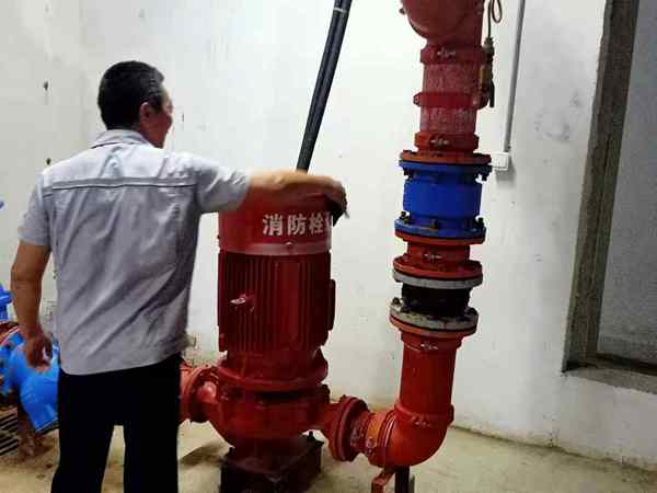 樟樹_副本.jpg 樟樹_副本.jpg