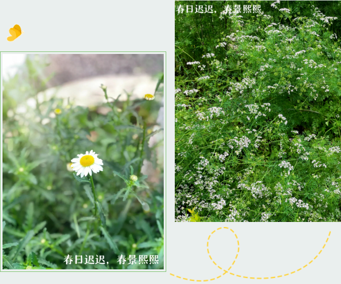 1711855520896.png 1711855520896.png