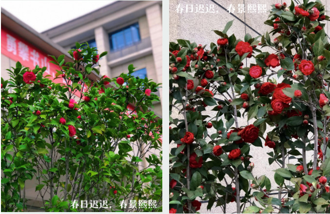 1711855563124.png 1711855563124.png