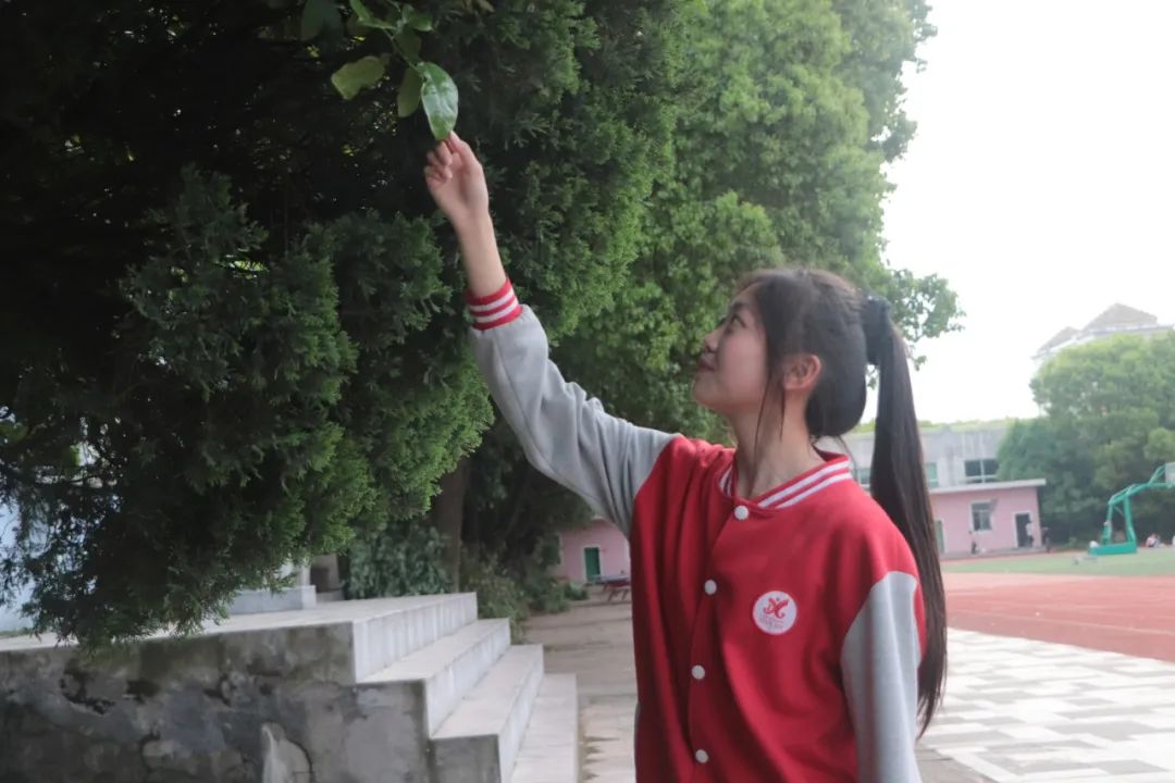 1b68424c7beba42a2395712eab2c3149.jpg 1b68424c7beba42a2395712eab2c3149.jpg